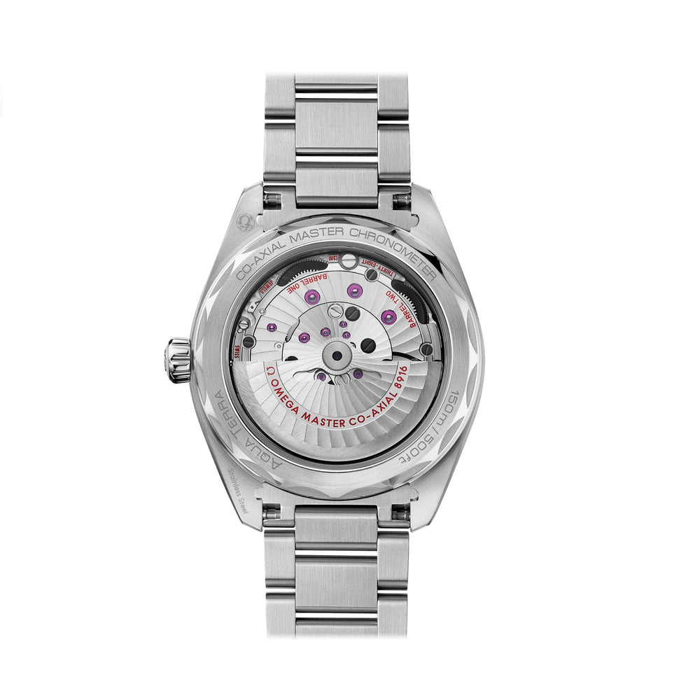 220.10.41.21.02.002 Seamaster Aqua Terra in Silber