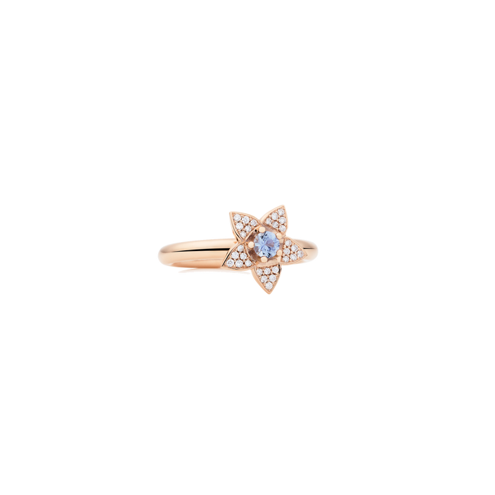 Bron Poppy Ring 8RR4917CSBR mit Safire und Diamanten