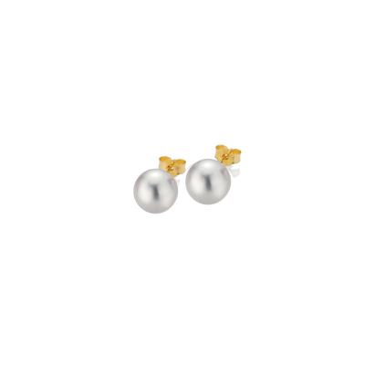 Gellner - Perlen Ohrstecker