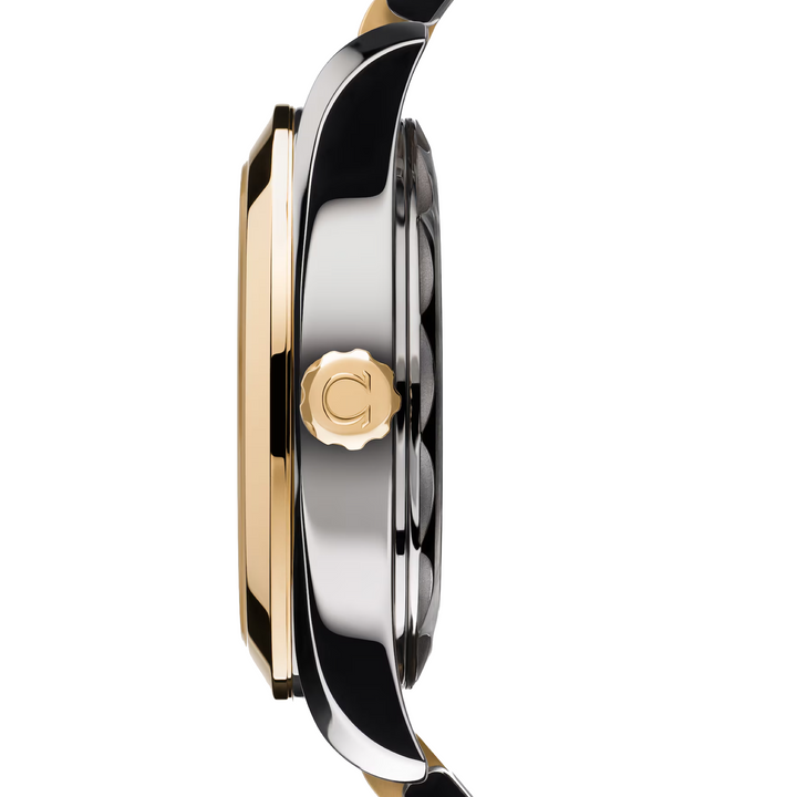 OMEGA Seamaster Aqua Terra 150M – Automatikwerk – silber - 30 mm - Damenuhr mit Gelbgold und Edelstahl Gehäuse