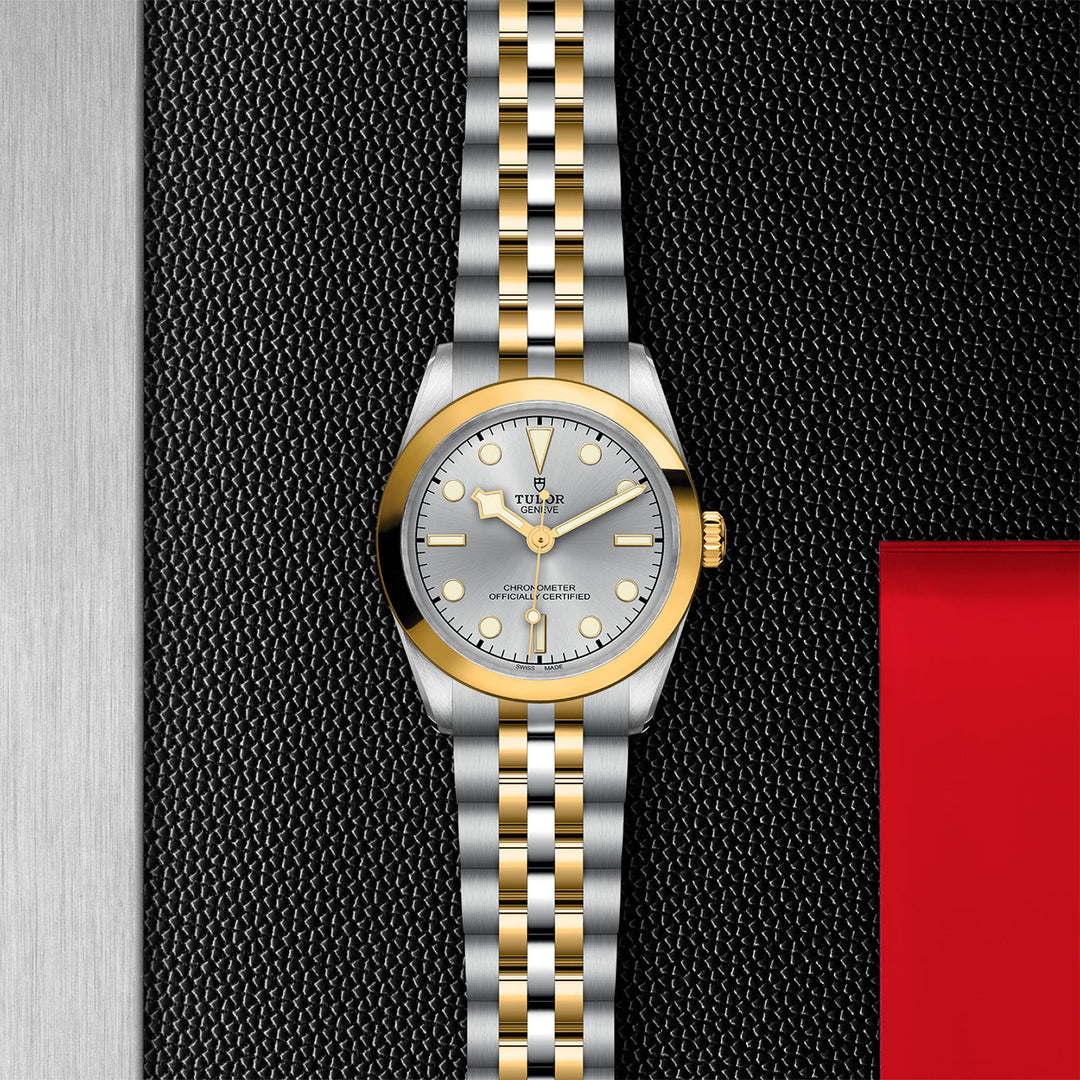 TUDOR - Black Bay 31 S&G – Juwelier Krebber