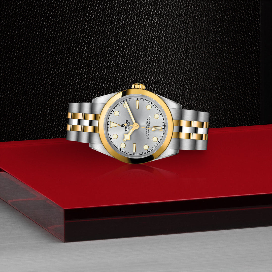 TUDOR - Black Bay 31 S&G – Juwelier Krebber