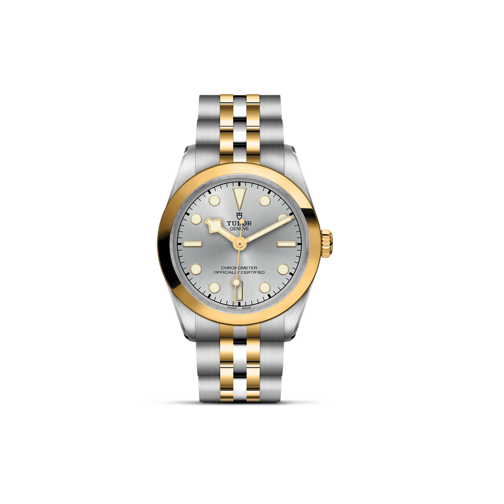 TUDOR-Black-Bay-31-M79603-0002  