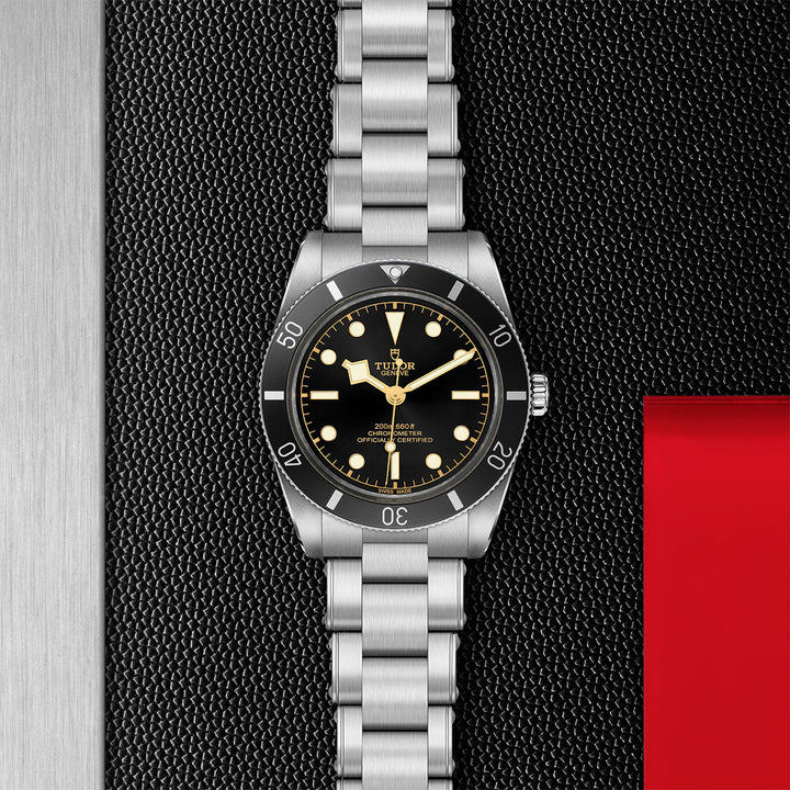 TUDOR - Black Bay 54